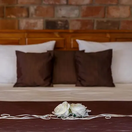 Guest house U Hastrmana Prague